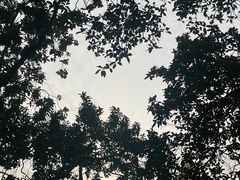 -深圳龙潭公园