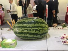 -西瓜小镇