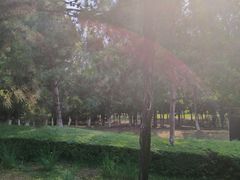 -莫子山公园