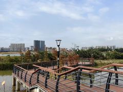 -立新湖公园