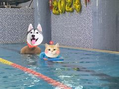 -BK博·康健身(金地格林小镇店)