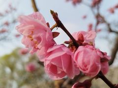 -北京明城墙遗址公园