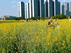 -光明小镇欢乐田园