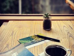 铁毕卡顶级圆豆-YLK云南小粒咖啡·云里咖(二号店)