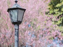 -三岔湖景区