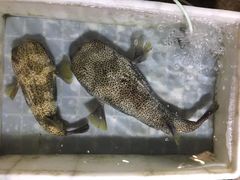 -清澜半岛航天渔人码头