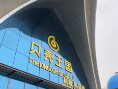 -贝壳王国博物馆