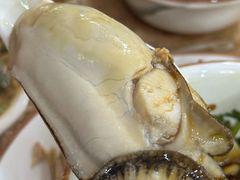 -濠轩阁特色生蚝火锅(水湾路店)