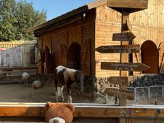 -HERRE·FARM 赫尔露营农场·团建聚会包场