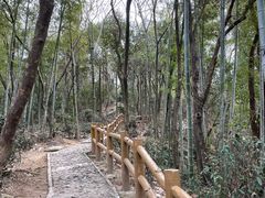 -上海佘山国家森林公园天马山园