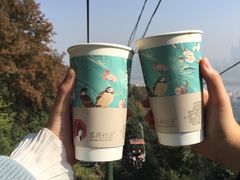 -茶颜悦色(岳麓山顶店)