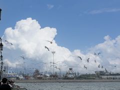 -一品诚记烤肉·甄选店(中南路店)