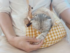 -ChanDu躔度咖啡(灯塔店)