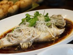 清蒸鲈鱼-锦庐道地川菜(来福士店)