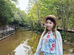 -茅兰沟国家森林公园