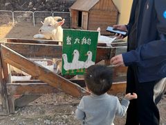 -HERRE·FARM 赫尔露营农场·团建聚会包场