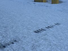-中旅松花湖滑雪场