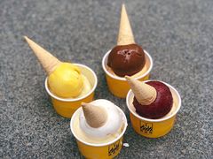 -研麻所·花椒冰淇淋(太古里店)