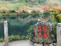 -靖西鹅泉风景区