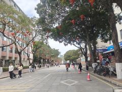 -厦门大学(思明校区)