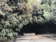 -西安市长乐公园