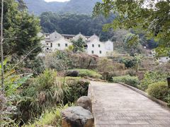 -雁南飞茶田景区