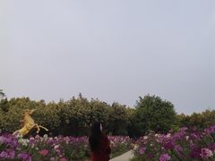 -广东花都香草世界旅游度假区