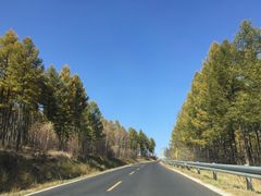 -塞罕坝国家级自然保护区