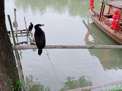 -长兴太湖图影湿地文化园