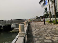 -野狸岛