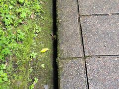 -西岭雪山大飞水景区