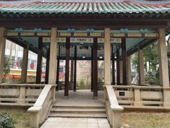 -长沙市青少年宫