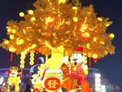 -武汉园博园(武汉自然博物馆)