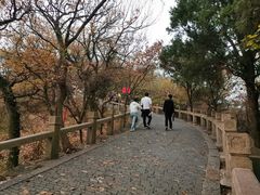 -灵岩山风景区