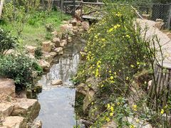 -树山生态村