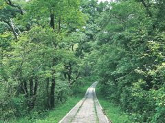 -青龙山国家森林公园