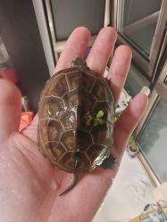 -钓虾工场·钓虾·赶海(回龙观店)