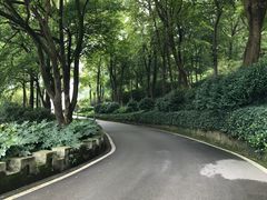-上海市保健医疗中心(华东疗养院)