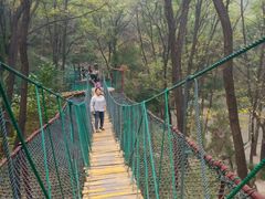 -原山国家森林公园