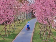 -福建鲤鱼洲酒店