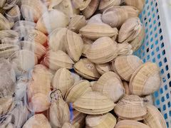 -富力希尔顿酒店·地阔自助餐厅