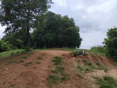 -黄埔油麻山森林公园