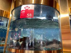 -蜀滋香鲜鱼美蛙火锅(339店)