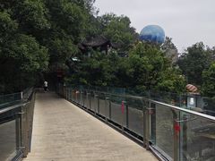 -巴倒烫陆派火锅山庄(南山总店)