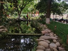 -成都市活水公园