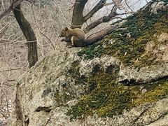 -终南山南五台景区