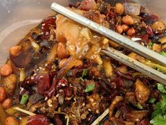 -食神又名厕所兔