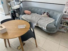 -萌兽医馆·眼科·异宠专科(三里屯店)