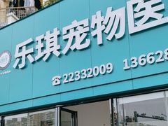 -乐琪宠物医院·犬猫专科·骨外科·急重症