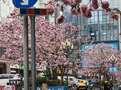 -1点点(清湖地铁店)